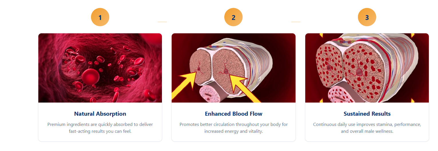 How Vigorox Prime works